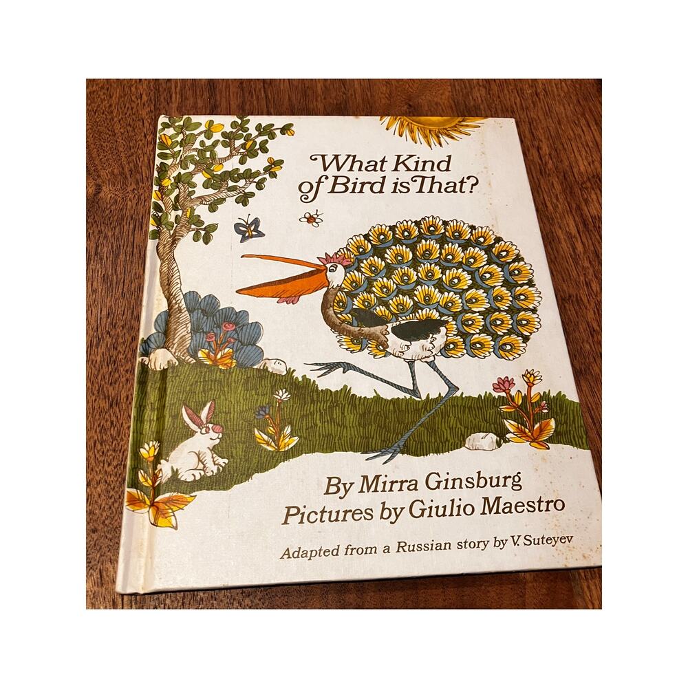 What Kind of Bird Is That? Mirra Ginsburg‎ 1973 Weekly Reader HC Vintage